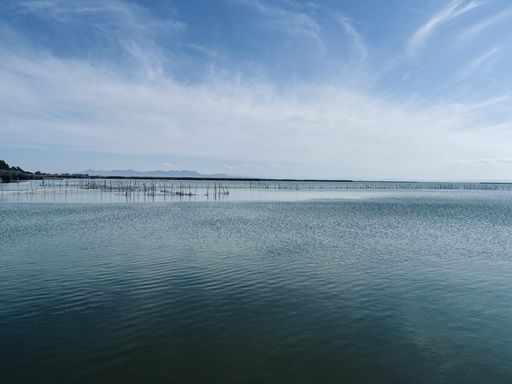 A beautiful shot of a long pier on the water under a bright sunny sky