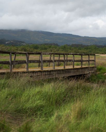 A vertical shot of a wooden pier in a grassy field under a cloudy sky