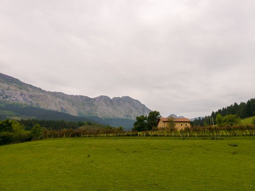 A closeup shot of a meadow with green grass and a village house with mountains in the background