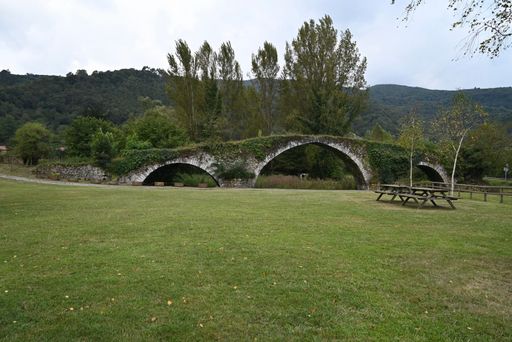 A wooden bridge crossing a lush grassy landscape in front of a backdrop of tall trees