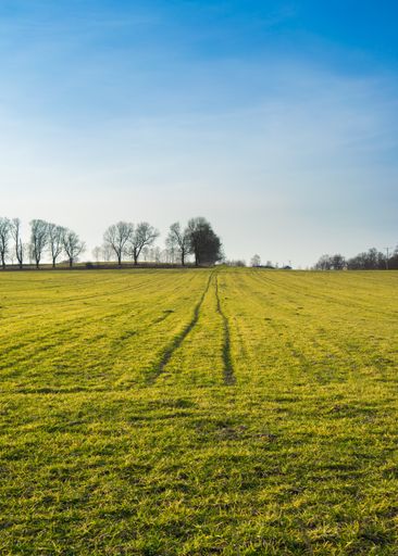 A large green landscape covered in grass surrounded by trees