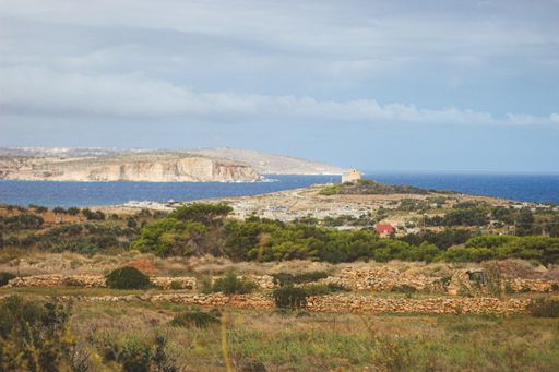 A wide angle shot of the ocean surrounded by mountains and twigs growing on them