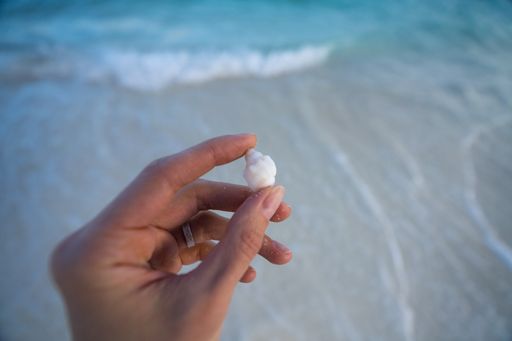A closeup shot of a female hand holding a shell on the beach on Zanzibar Island