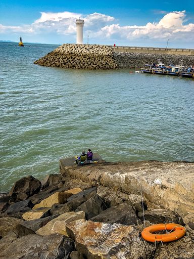 A life preserver is seen floating in a body of water next to a boat, positioned at the edge of the shore