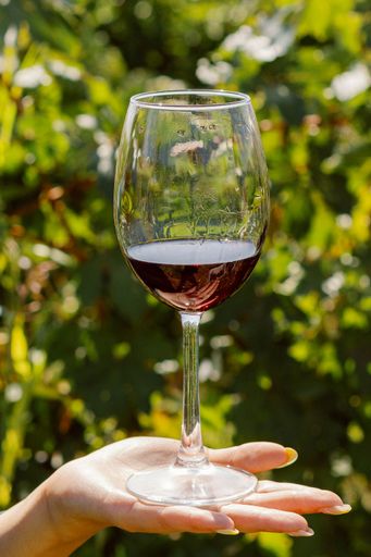 A female adult is standing outdoors holding a goblet of red wine in her hands