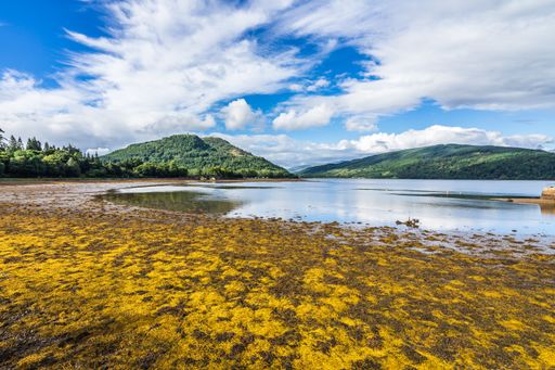 Loch Fyne shoreline seen from Inveraray, Argyll, Scotland
