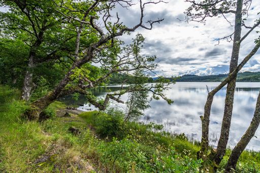 The Loch Achray during daytime Trossachs, Scotland