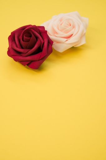 A top view of red and pink roses isolated on a yellow background