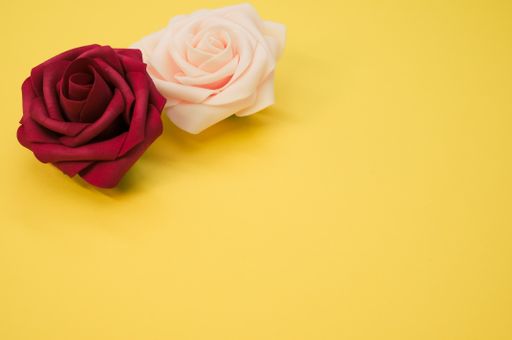A top view of red and pink roses isolated on a yellow background