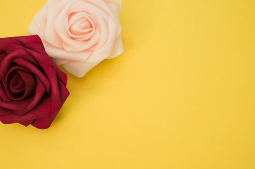 A top view of red and pink roses isolated on a yellow background
