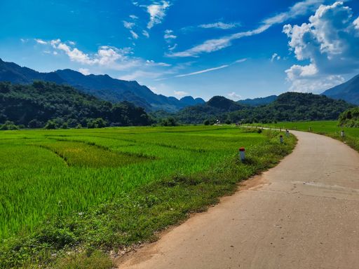 A scenic view of a road in a green field in the countryside in Vietnam