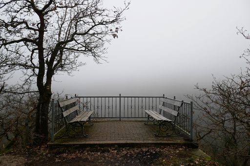 A scenic outdoor view of two wooden benches in a park setting with a heavy fog rolling through