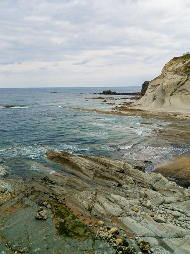 A vertical shot of moss-covered rocky stones on the seashore under a cloudy sky