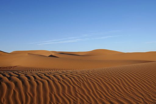A vast desert landscape featuring a towering sand dune surrounded by a rolling sea of golden sand