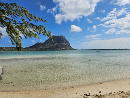 Aerial view of a beach with tall mountains in the background, lush trees scattered in the foreground, and the ocean stretching out in the distance