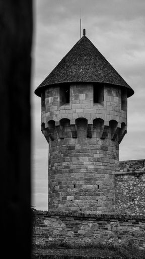 A grayscale, vertical shot of an old tower roof