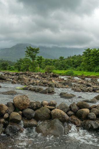 A vertical shot of a river in the forest under the cloudy sky backgrou