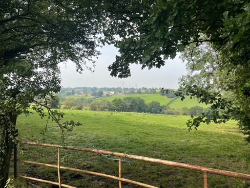 A lush green field framed by a fence, with trees scattered around the perimeter