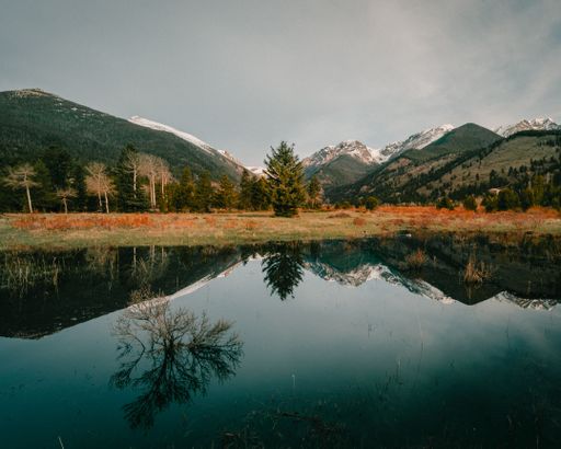 A tranquil landscape with a peaceful pond surrounded by lush greenery