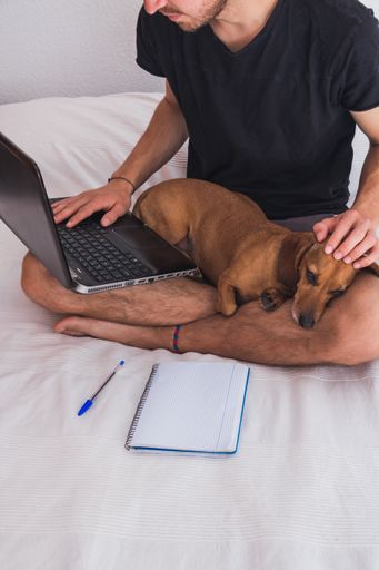young man working in a computer with dog upside