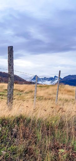 A vertical shot of barbed wire fence with beautiful snow-capped mountains in the background
