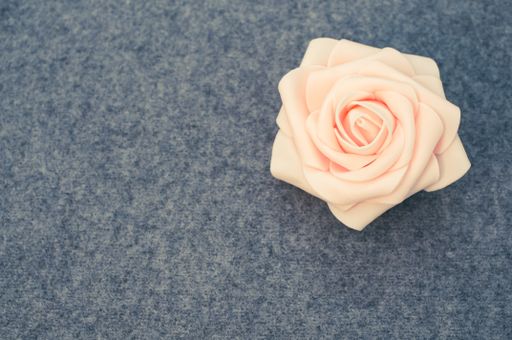 A closeup of a single pink rose on a gray woolen background with copy space to the left