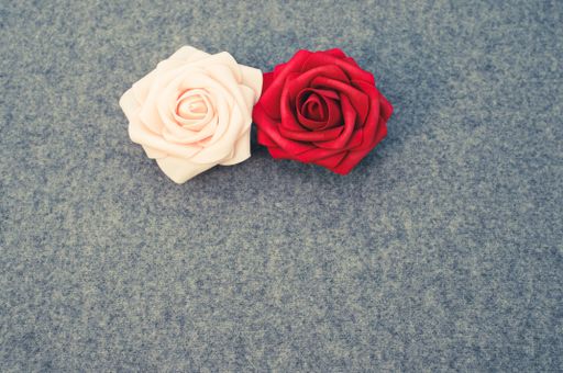 A pair of pink and red roses on a gray woolen background with large copy space