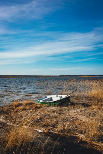A mesmerizing view of an old green boat by the lake coast