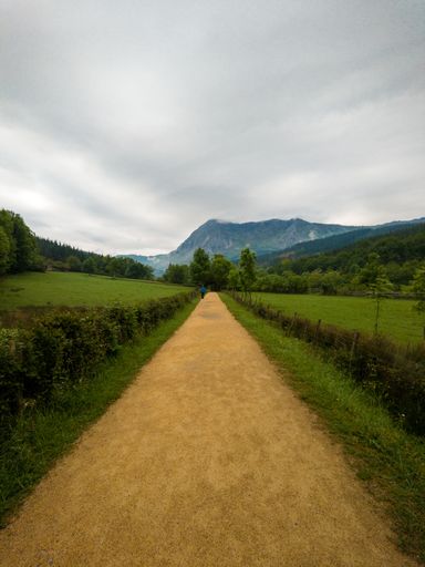 A vertical shot of a pathway in a field covered in greenery under a cloudy sky in the countryside