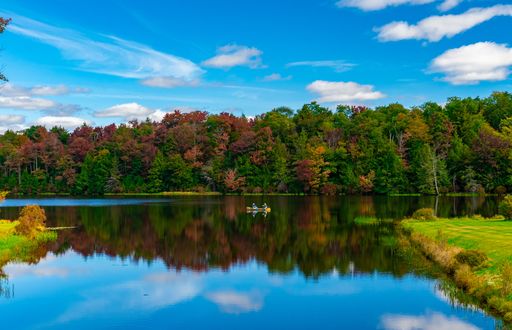 A picturesque landscape featuring a vibrant body of water surrounded by a lush forest