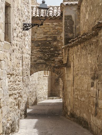 Medieval street with a stone floor and a stone arch in the old town of Baeza, one of the most beautiful villages in the province of Jaen. Andalusia.