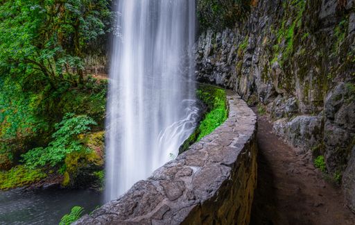 A scenic view of Silver Falls Park in Oregon, featuring a beautiful waterfall.