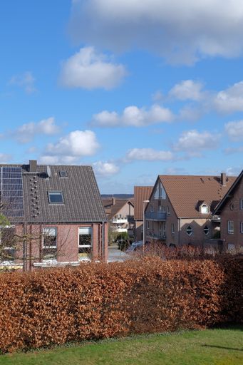 A vertical shot of houses under a cloudy blue sky with Autumn bushes in front