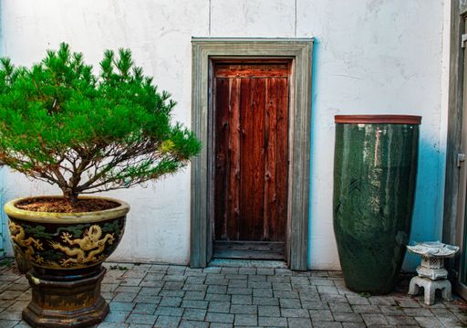 A vibrant potted plant is situated against a vintage wooden door, situated on a red brick walkway