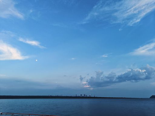 An adult person sitting on a bench near the shoreline, overlooking a bustling city skyline