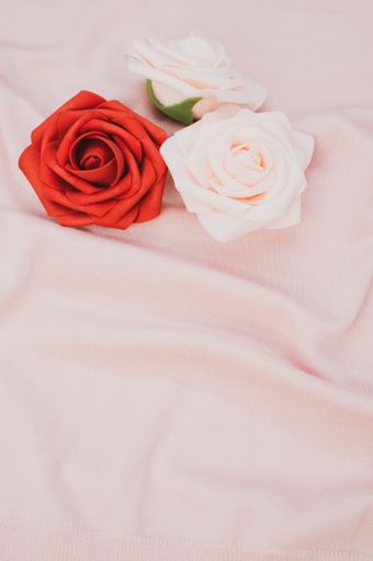 A vertical shot of a triplet of red and white roses on a wrinkled pink background with copy space