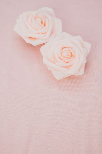 A vertical shot of a pair of white roses on a pink cloth background with copy space below