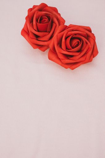 A vertical shot of a pair of vibrant red roses on a smooth pink background with copy space