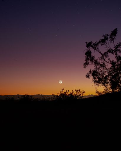 A scenic view of the moon at Joshua Tree National Park, California