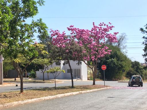 A white car drives along a street, passing by two black and white street signs in the center of the road