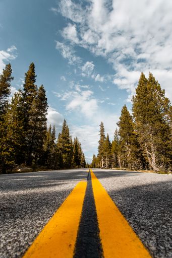 A road in the USA near Yosemite National Park, California