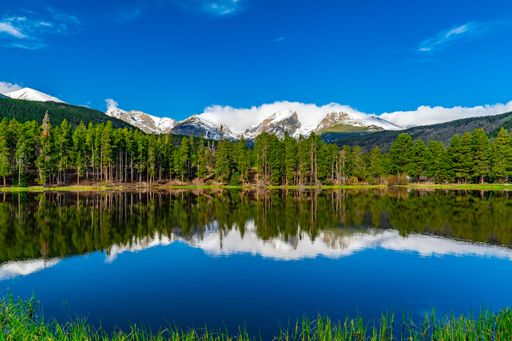An idyllic landscape featuring a tranquil pond surrounded by tall trees and a deep blue sky above