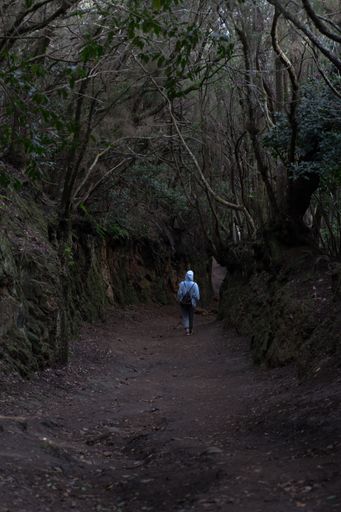 A vertical shot of a person walking down an eerie path in the forest