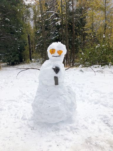 A snowman constructed in a lush white wintery landscape