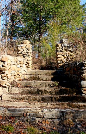 A vertical shot of ancient concrete stairs at a park surrounded by green trees