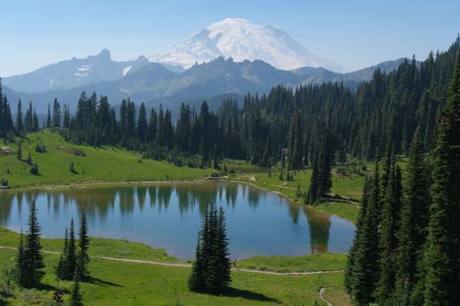 A scenic view of the Mount Rainier National Park.