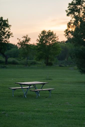 A table with chairs in a green land with a lot of trees