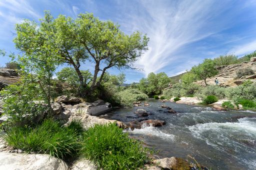 A scenic view of the Lozoya river surrounded by lush greenery on a sunny day in Madrid, Spain