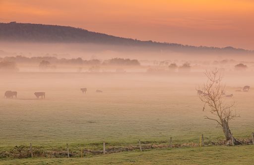The fog covering the city at sunrise