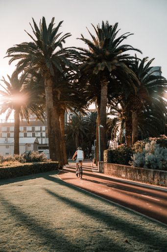 A man biking through a scenic park in the early morning sun